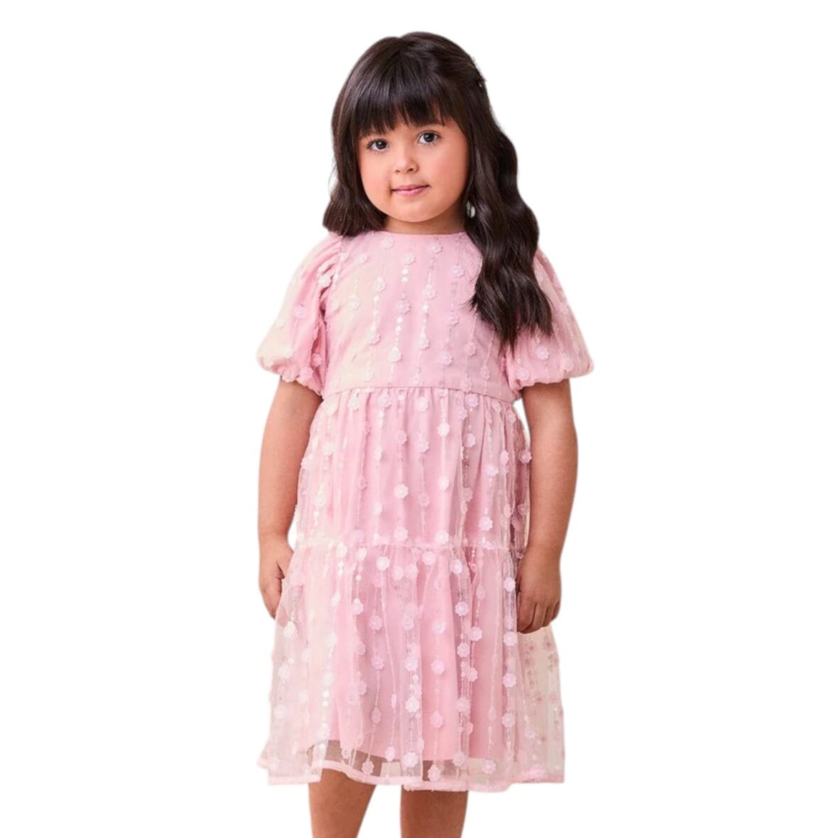 Vestido Infantil Rosa com Tule Bordado Animê