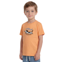 271-CA905-LARANJA
